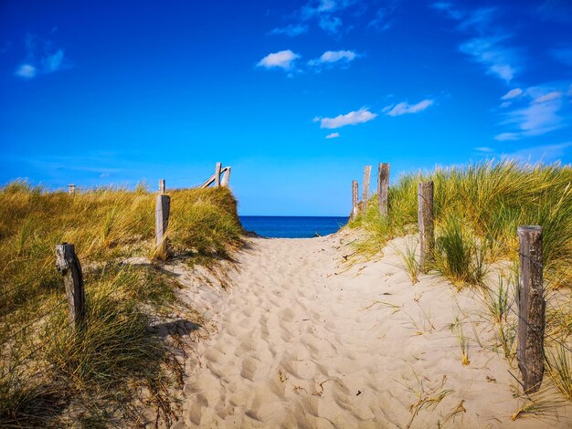 Photo scenic view of beach against blue sky