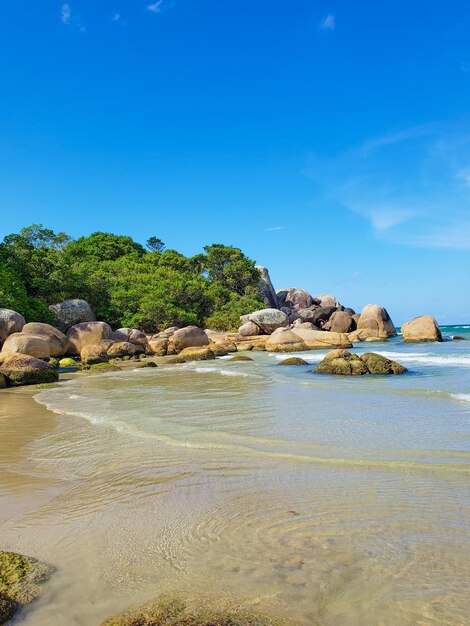 Scenic view of beach against blue sky