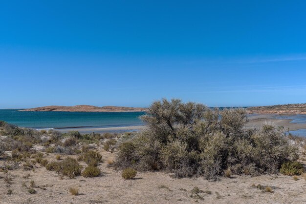 Scenic view of beach against blue sky