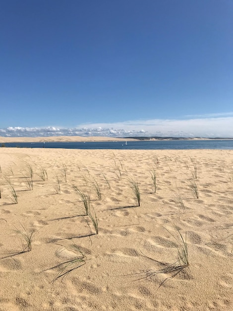 Foto vista panoramica della spiaggia contro il cielo blu