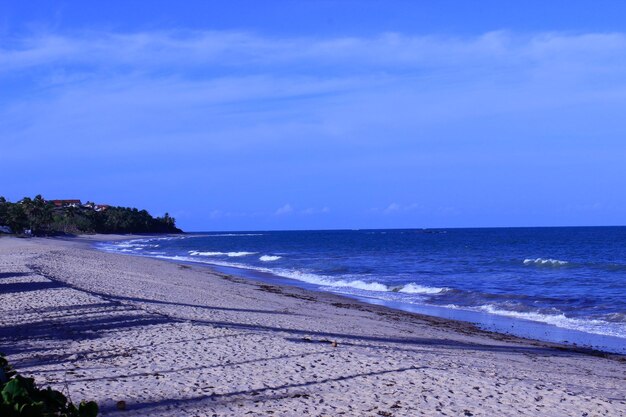 Scenic view of beach against blue sky