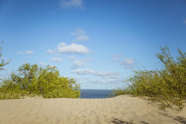 Scenic view of beach against blue sky