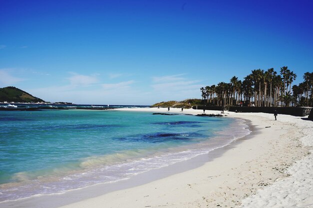 Scenic view of beach against blue sky