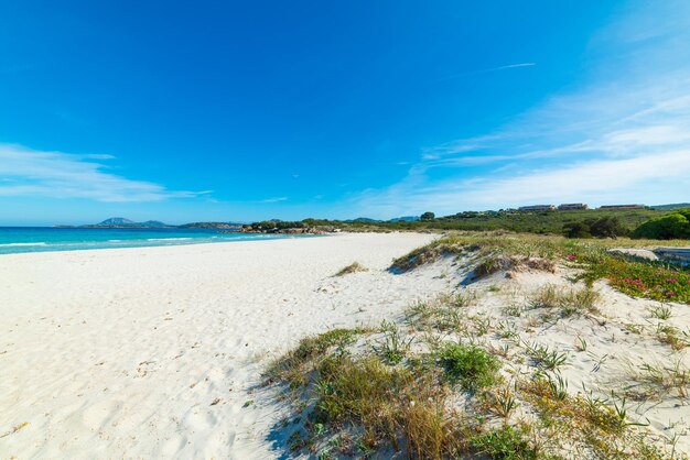 Scenic view of beach against blue sky