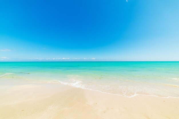 Scenic view of beach against blue sky