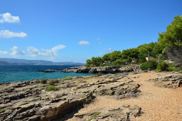 Scenic view of beach against blue sky