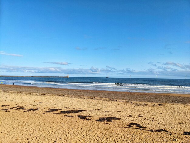 Scenic view of beach against blue sky