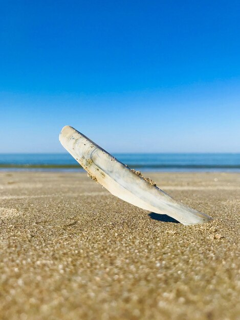 Scenic view of beach against blue sky