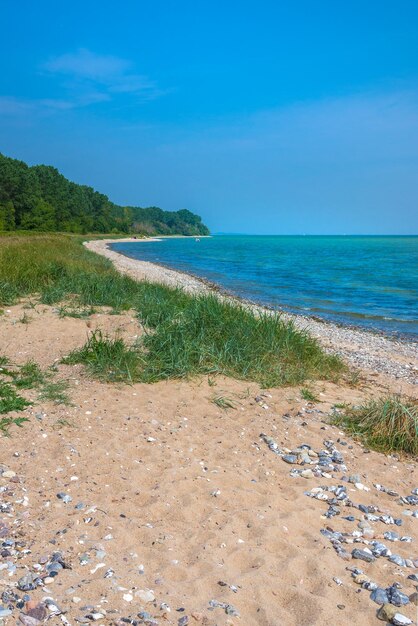 Scenic view of beach against blue sky