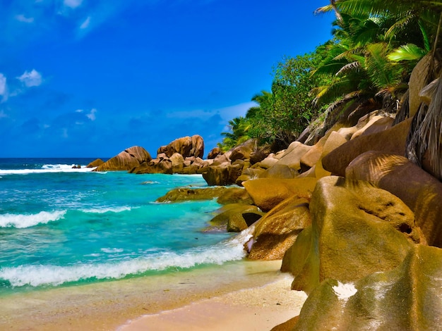 Scenic view of beach against blue sky