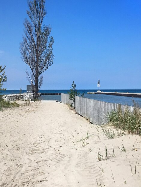 Scenic view of beach against clear blue sky