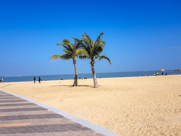 Scenic view of beach against clear blue sky