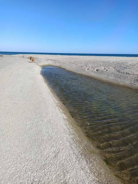 Foto vista panoramica della spiaggia contro un cielo blu limpido