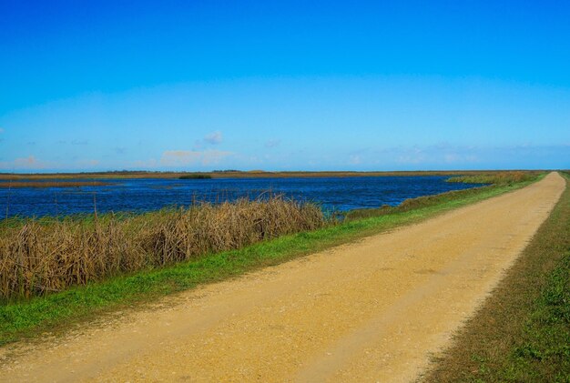 Scenic view of beach against clear blue sky