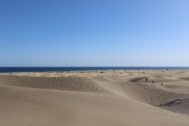 Scenic view of beach against clear blue sky