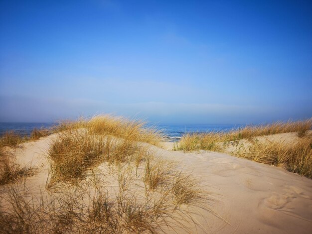 Scenic view of beach against clear blue sky