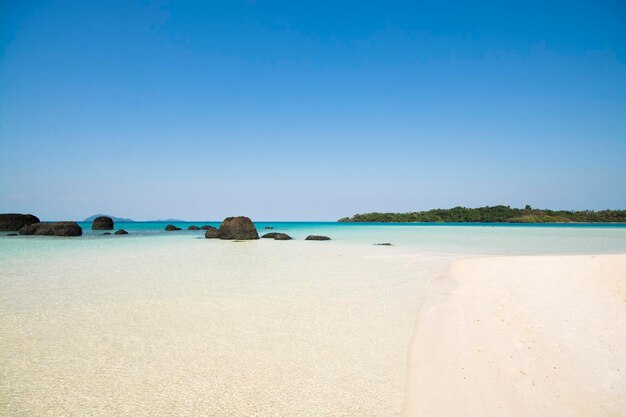 Scenic view of beach against clear blue sky