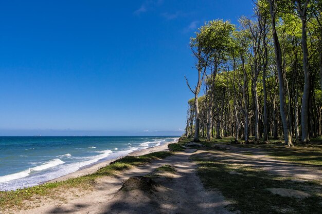 Scenic view of beach against clear blue sky