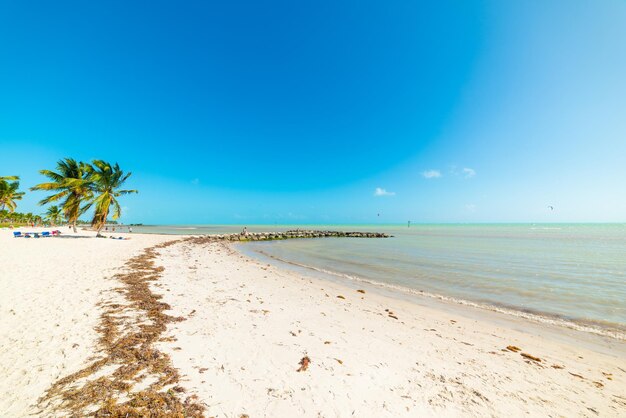 Scenic view of beach against clear blue sky