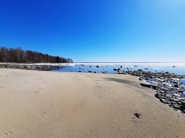 Scenic view of beach against clear blue sky