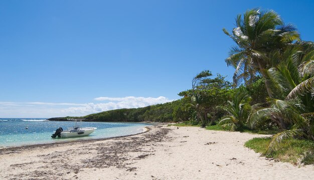 Scenic view of beach against clear blue sky