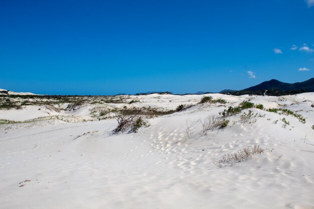 Scenic view of beach against clear blue sky