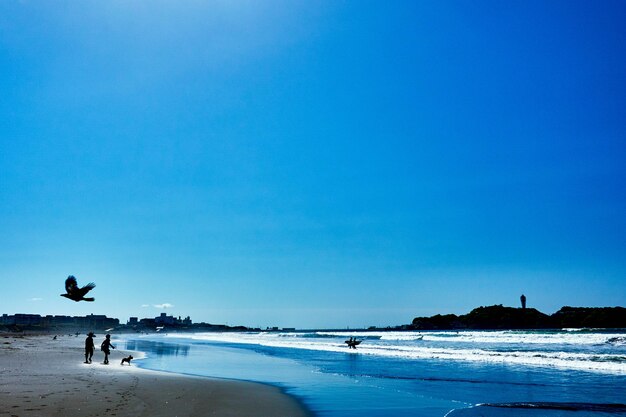 Scenic view of beach against clear blue sky