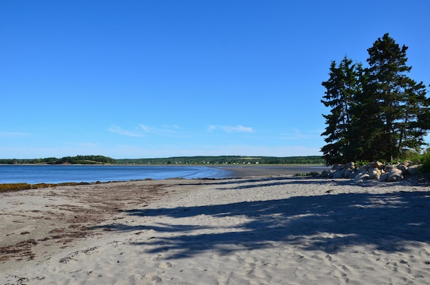 Photo scenic view of beach against clear blue sky