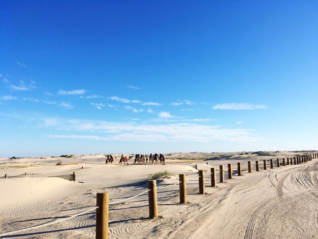 Scenic view of beach against clear blue sky