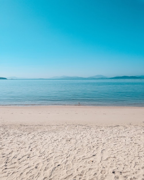 Foto vista panoramica della spiaggia contro un cielo blu limpido