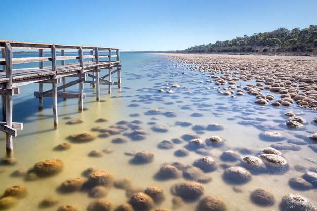 Photo scenic view of beach against clear sky