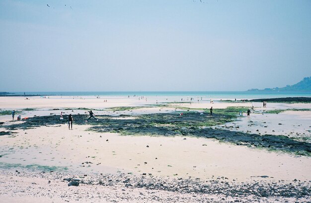 Photo scenic view of beach against clear sky