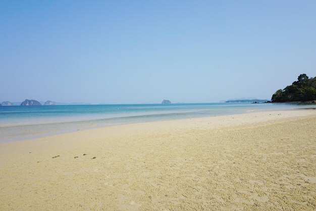 Scenic view of beach against clear sky