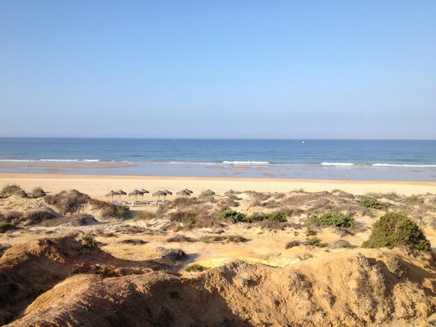 Scenic view of beach against clear sky