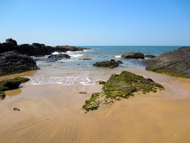 Scenic view of beach against clear sky