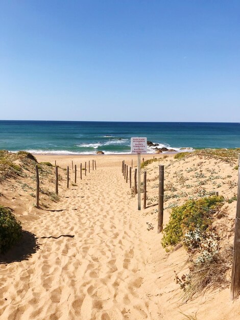 Foto vista panoramica della spiaggia contro un cielo limpido