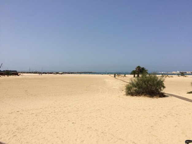 Scenic view of beach against clear sky