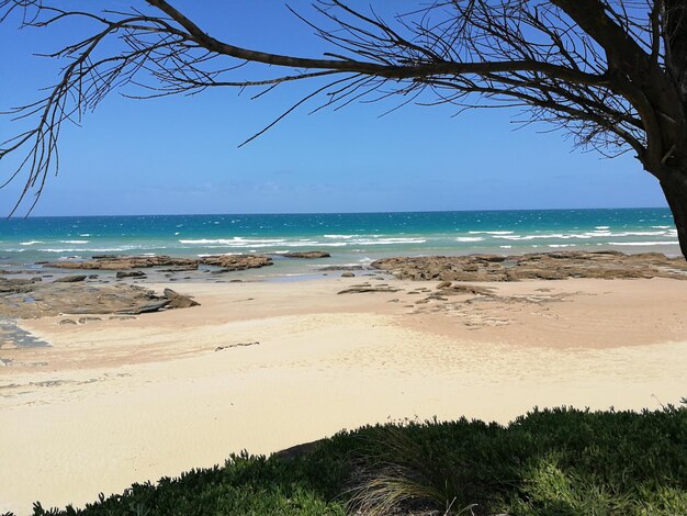 Scenic view of beach against clear sky