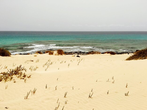 Foto vista panoramica della spiaggia contro un cielo limpido