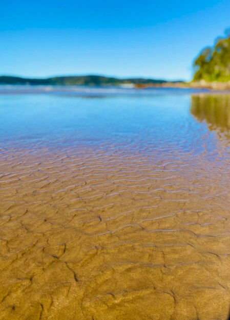 Photo scenic view of beach against clear sky