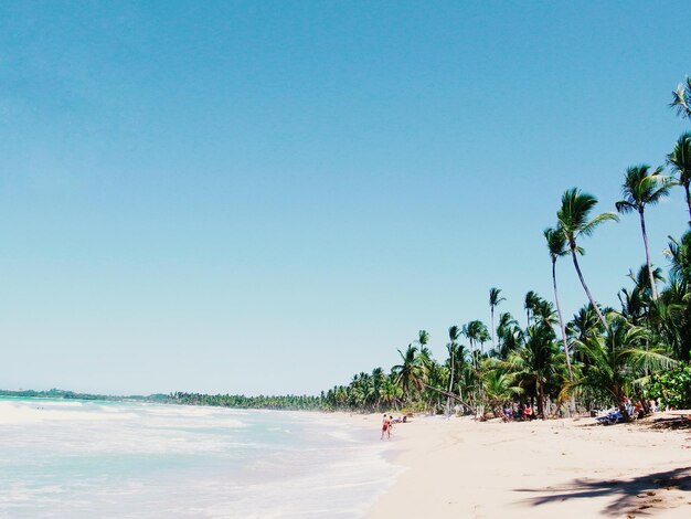 Scenic view of beach against clear sky