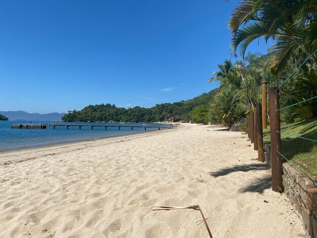 Scenic view of beach against clear sky