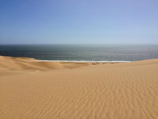 Foto vista panoramica della spiaggia contro un cielo limpido