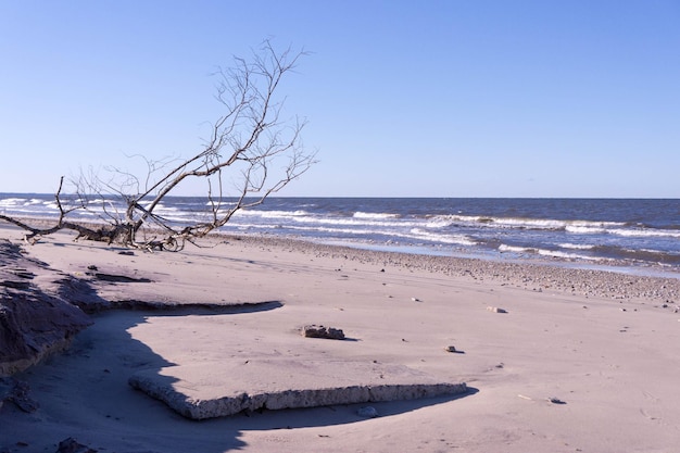 Photo scenic view of beach against clear sky