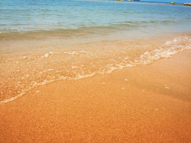 Scenic view of beach against sea