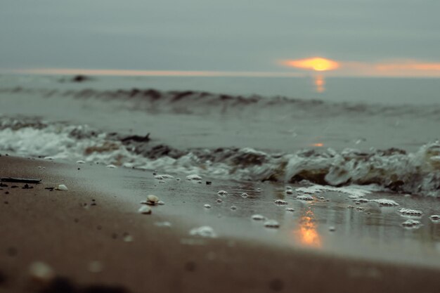 Scenic view of beach against sky during sunset