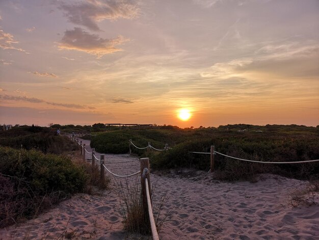 Foto vista panoramica della spiaggia contro il cielo durante il tramonto