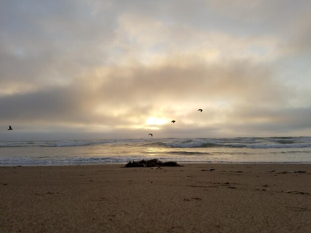 Scenic view of beach against sky during sunset