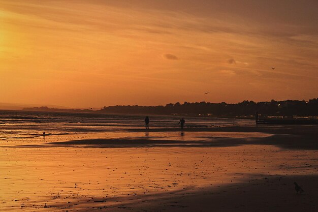 Scenic view of beach against sky during sunset