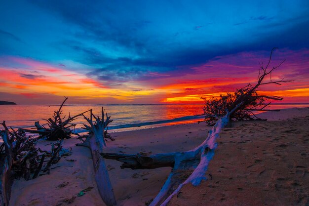 Scenic view of beach against sky during sunset